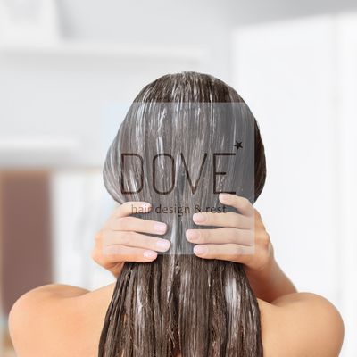 268413A9-17B6-42B0-83F4-92BCF9E8ABC6_1_101_o